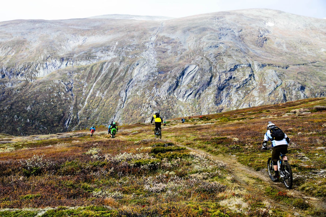 Høydemeter ble det rikelig av på årets utgave av Oppdal Stisykkelcamp, som ble arrangert i helga. Foto: Bjarne Grøseth Høydemeter ble det rikelig av på årets utgave av Oppdal Stisykkelcamp, som ble arrangert i helga. Foto: Bjarne Grøseth