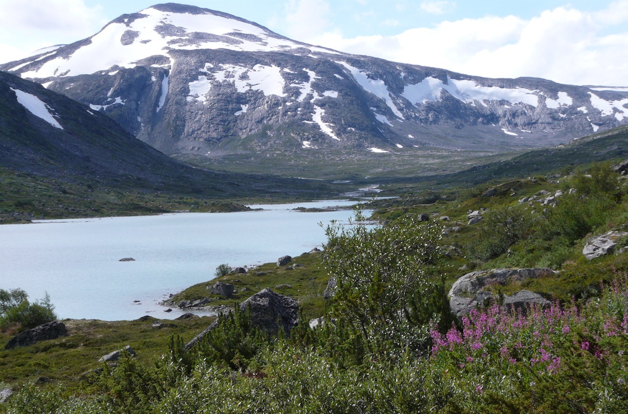 Breheimen Nasjonalparkstyre foreslår å kun tillate sykling på stier som er så tekniske at det i praksis utelukker sykling i nasjonalparken. Stikk i strid med politiske føringer. Foto: Wikimedia.org