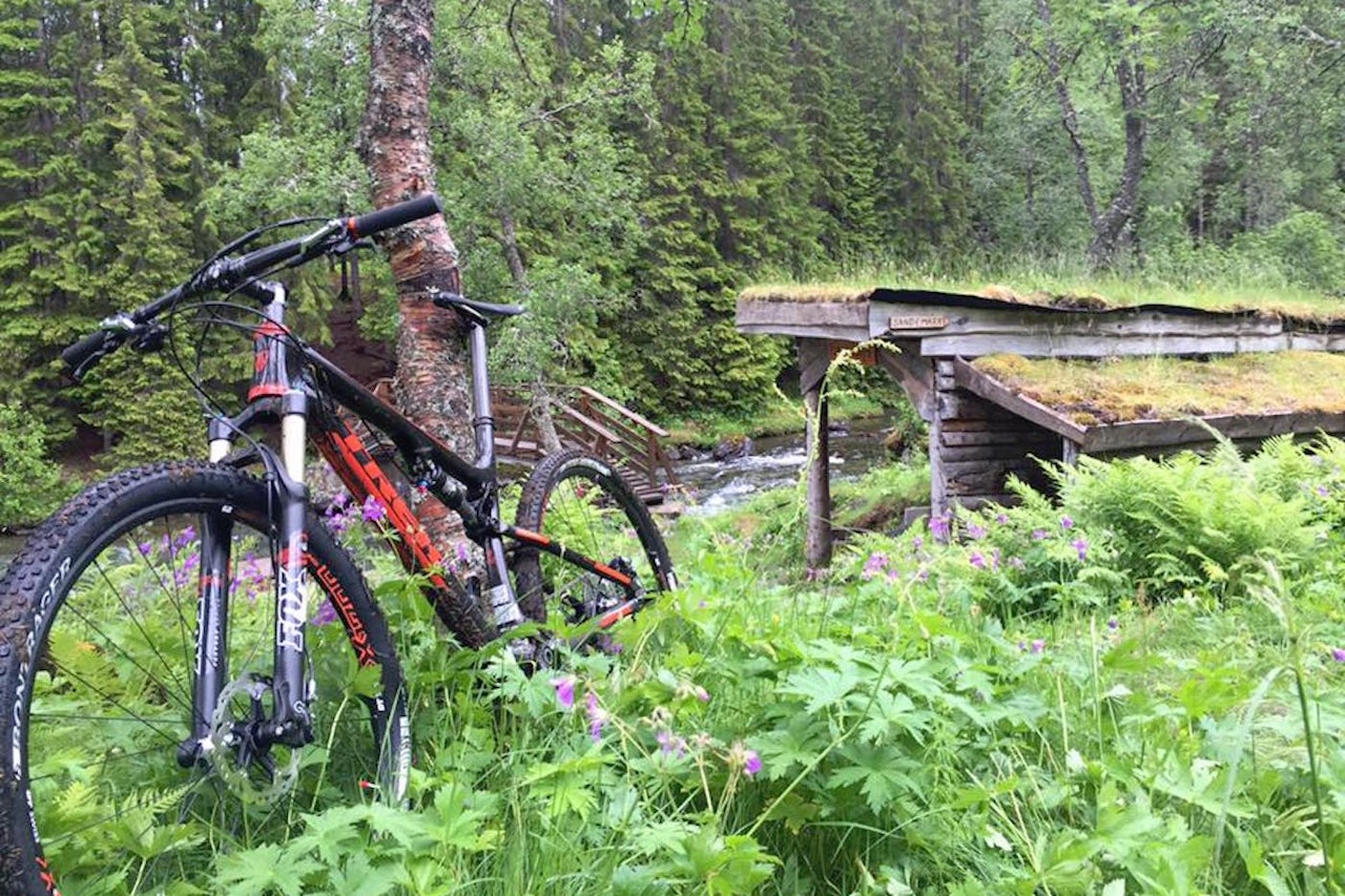 Hålogalandsrittet byr på kulturminner underveis i løypa så vel som flytsti og tekniske partier. Foto: Arrangøren Hålogalandsrittet byr på kulturminner underveis i løypa så vel som flytsti og tekniske partier. Foto: Arrangøren