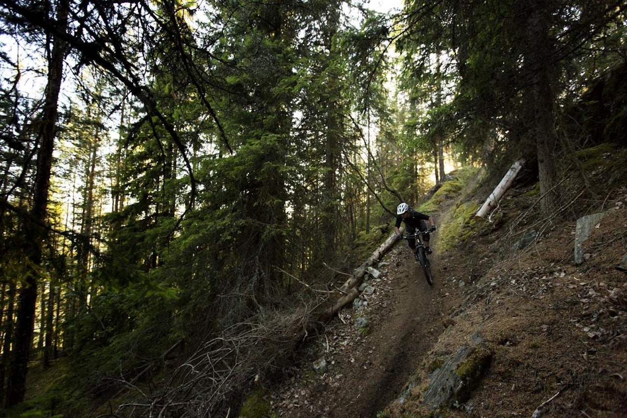 Fart og flyt er to gjengangere på stiene over Nesbyen. Foto: Kristoffer H. Kippernes Fart og flyt er to gjengangere på stiene over Nesbyen. Foto: Kristoffer H. Kippernes