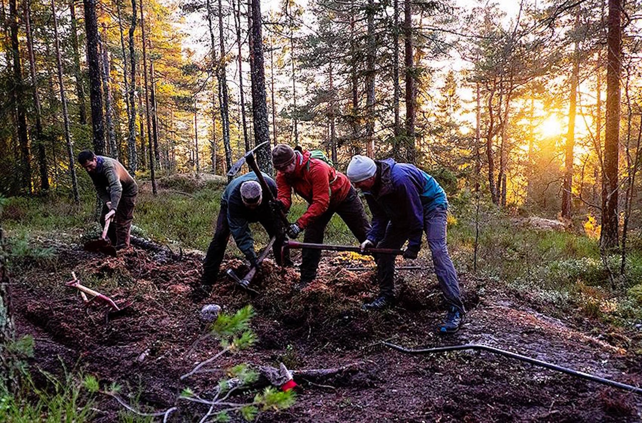 NOTS Oslo og Omegn har lang og bred kompetanse på tilrettelegging av stier. Foto: NOTS Oslo og Omegn NOTS Oslo og Omegn har lang og bred kompetanse på tilrettelegging av stier. Foto: NOTS Oslo og Omegn