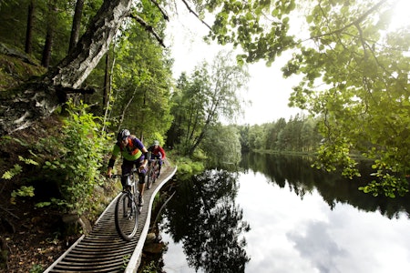 STISYKLING I ARENDAL: Tilrettelagt sti: Stier bygget av syklister, de er noe for seg selv. Foto: Kristoffer H. Kippernes stisykling arendal tungvekteren tungvektern