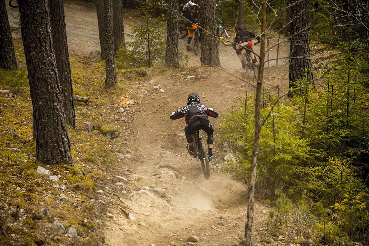 (foto: Thomas Brynjulf Svendsen) (foto: Thomas Brynjulf Svendsen)