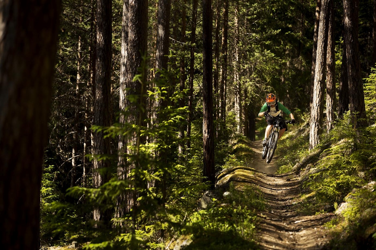 Foto: Kristoffer H. Kippernes Foto: Kristoffer H. Kippernes