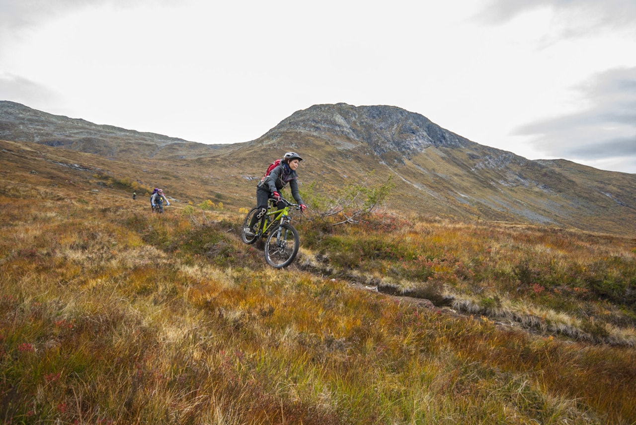 Oppå fjellet:Stryn byr på muligheter for sykling langt over tregrensa. (foto: Folven Stisykkelcamp) Oppå fjellet:Stryn byr på muligheter for sykling langt over tregrensa. (foto: Folven Stisykkelcamp)
