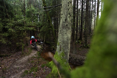 Ikke bare cruxing: Trond Vidar Storhaug Kjellén viser at stiene i Gressvikmarka ikke bare består av crux og knot. Ikke bare cruxing: Trond Vidar Storhaug Kjellén viser at stiene i Gressvikmarka ikke bare består av crux og knot.