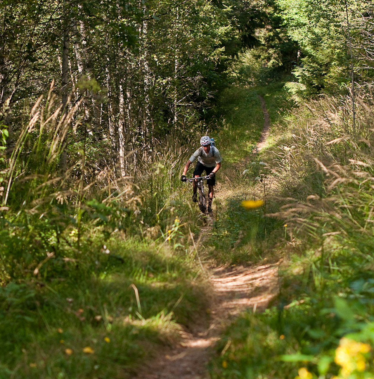 VILLE VÆRT UMULIG: Å krysse gjennom Østmarka ville ikke vært mulig dersom verneforslaget hadde blitt vedtatt. VILLE VÆRT UMULIG: Å krysse gjennom Østmarka ville ikke vært mulig dersom verneforslaget hadde blitt vedtatt.