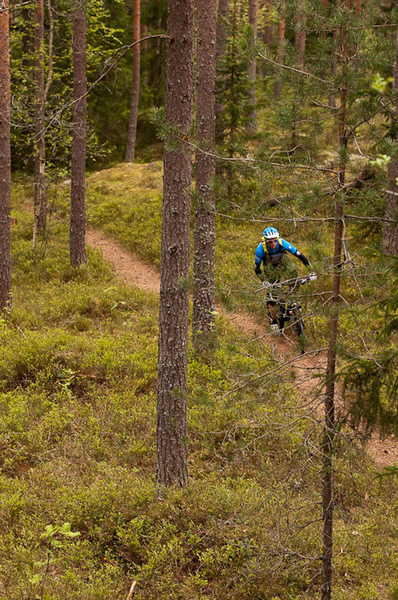 VEKKER OPPSIKT: At Fylkesmannen fremmet et forslag om å forby terrengsykling på enkelte stier i Marka uten å forhøre seg med lokale sykkelklubber, vekker internasjonal oppsikt. VEKKER OPPSIKT: At Fylkesmannen fremmet et forslag om å forby terrengsykling på enkelte stier i Marka uten å forhøre seg med lokale sykkelklubber, vekker internasjonal oppsikt.
