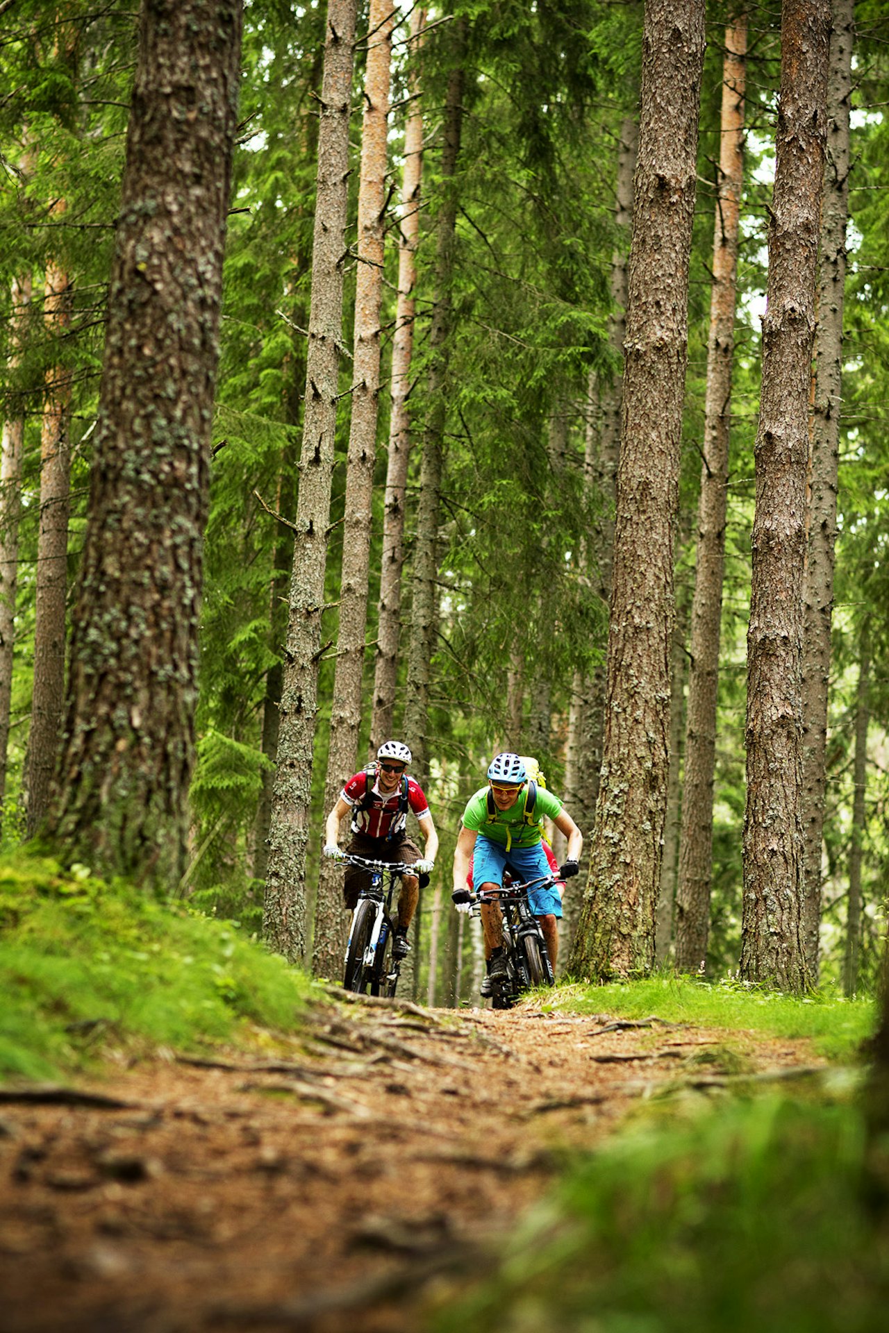 FORBUDSSTI: Blåstien over Spinneren mellom Langevann og Sandbakken foreslås og stenges for syklister. Denne stien går for det meste på berg og hardtrampet sti. I noen våte partier ligger det igjen gamle klopper som lett kan settes i stand og moderniseres. FORBUDSSTI: Blåstien over Spinneren mellom Langevann og Sandbakken foreslås og stenges for syklister. Denne stien går for det meste på berg og hardtrampet sti. I noen våte partier ligger det igjen gamle klopper som lett kan settes i stand og moderniseres.
