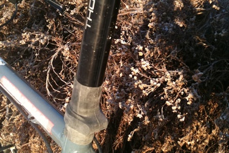 MAN TAGER... en slange. Og det er det. MAN TAGER... en slange. Og det er det.