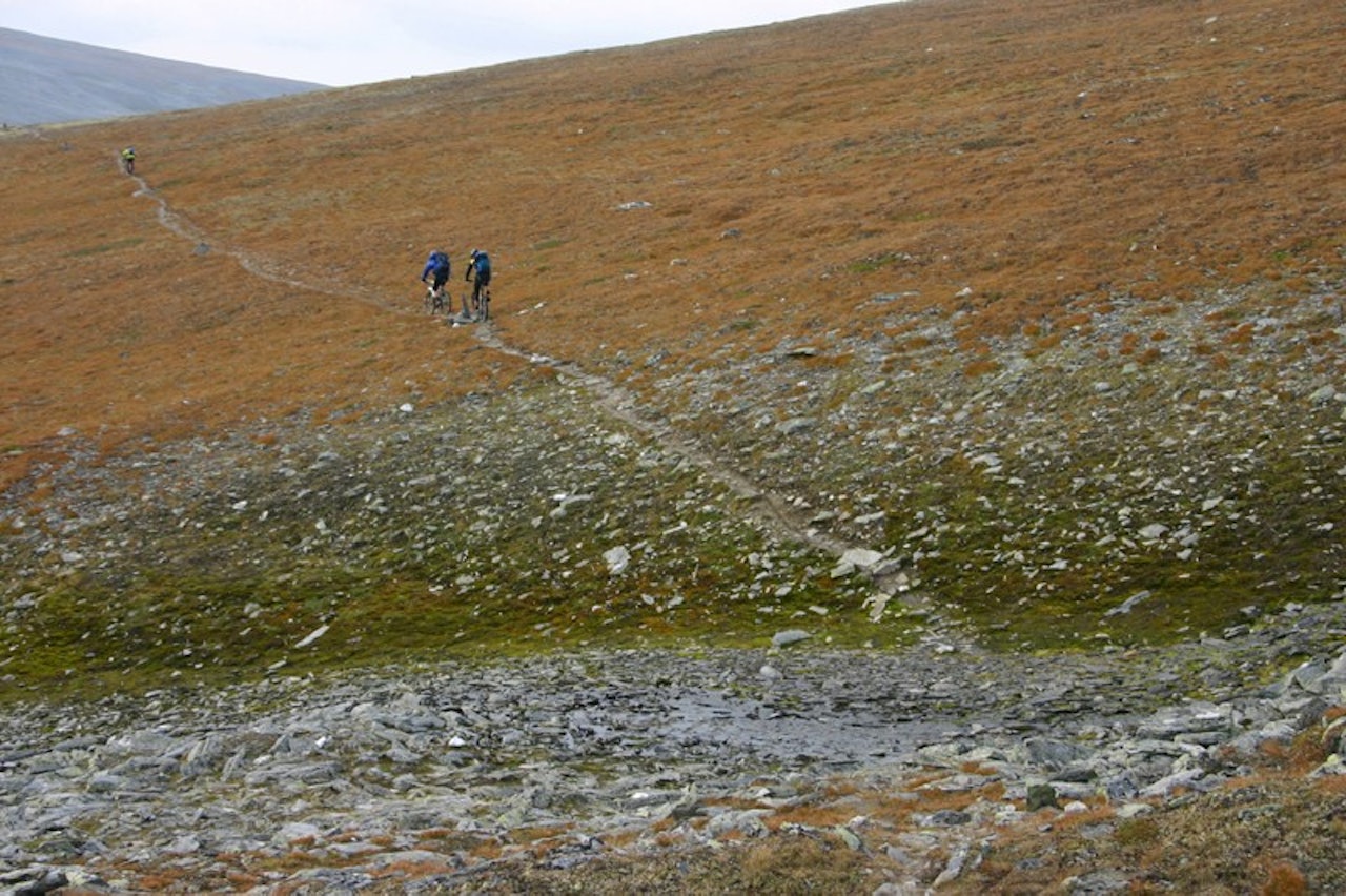 FORBUD: Enkelte steder i Rondane er det forbudt å sykle av hensyn til villreinen. Det ligger ikke vitenskaplig forskning til grunn av avgjørelsene, mener Inge Kvivik. Foto: Geir Anders Rybakken Ørslien FORBUD: Enkelte steder i Rondane er det forbudt å sykle av hensyn til villreinen. Det ligger ikke vitenskaplig forskning til grunn av avgjørelsene, mener Inge Kvivik. Foto: Geir Anders Rybakken Ørslien