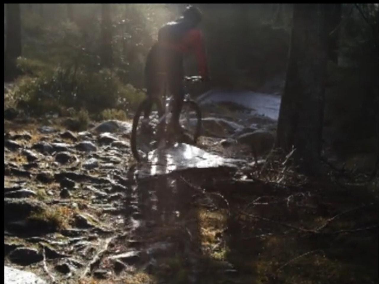 GOD STEMNING: Brødrene Mandt nyter Lillomarka i november. GOD STEMNING: Brødrene Mandt nyter Lillomarka i november.