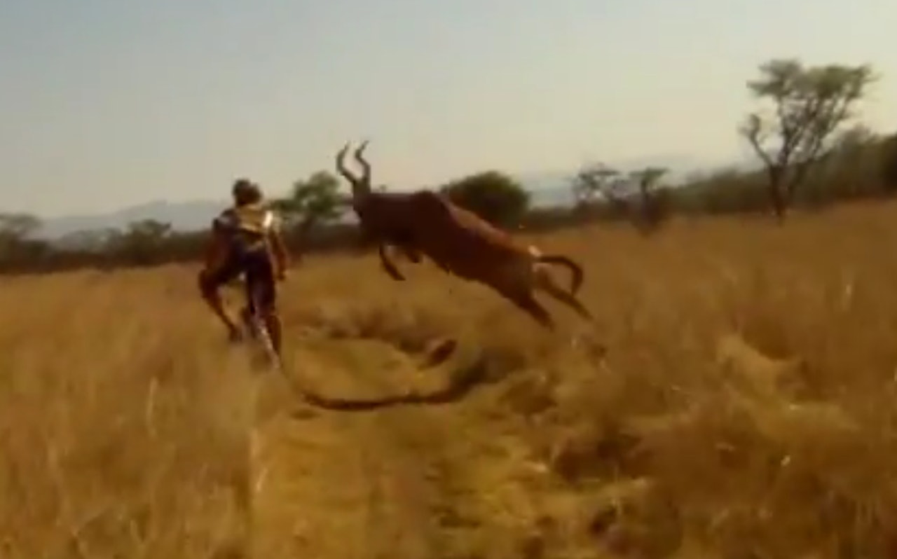 IN YOUR FACE: Det er litt uklart hva som egentlig skjer, men om ikke antilopen fikk vondt i hodet, fikk hvertfall syklisten det. IN YOUR FACE: Det er litt uklart hva som egentlig skjer, men om ikke antilopen fikk vondt i hodet, fikk hvertfall syklisten det.