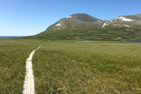 Behov for planlegging: Hemsedal kommune mener sykling er en av aktivitetene som må sees nærmere på når ny sti- og løypeplan skal utarbeides. (foto: Claes Watndal)