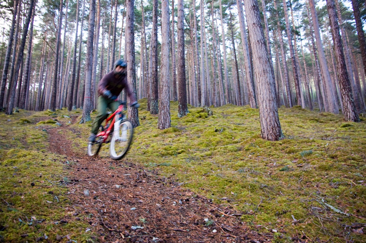 Nils Einar Berget i Konglesladden. Foto: Knut Erlend Rosvold Nils Einar Berget i Konglesladden. Foto: Knut Erlend Rosvold