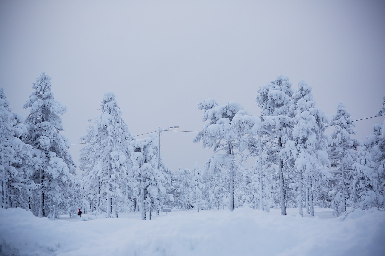Winterwonderland: Da Terrengsykkels utsendte ankom Lygna skisenter i morres, rådet postkortstemningen. Som forøvrig varte hele dagen. Winterwonderland: Da Terrengsykkels utsendte ankom Lygna skisenter i morres, rådet postkortstemningen. Som forøvrig varte hele dagen.