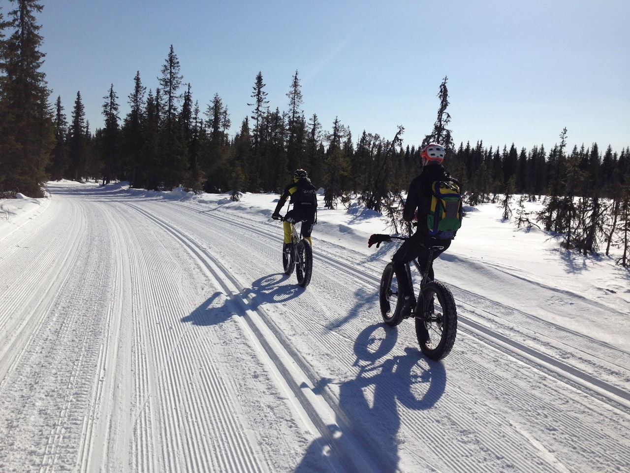 HØY PULS: Til helgen har du mulighet til å gi bånn gass på fatbike. Foto: Øyvind Aas HØY PULS: Til helgen har du mulighet til å gi bånn gass på fatbike. Foto: Øyvind Aas