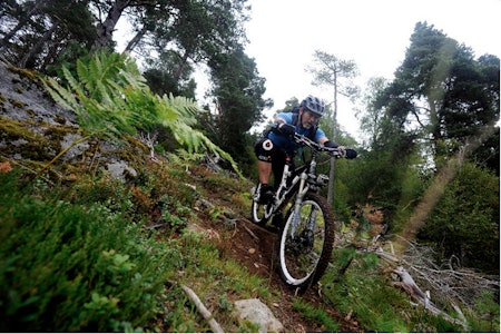 Birken 2011 birken birkebeinerrittet 2011