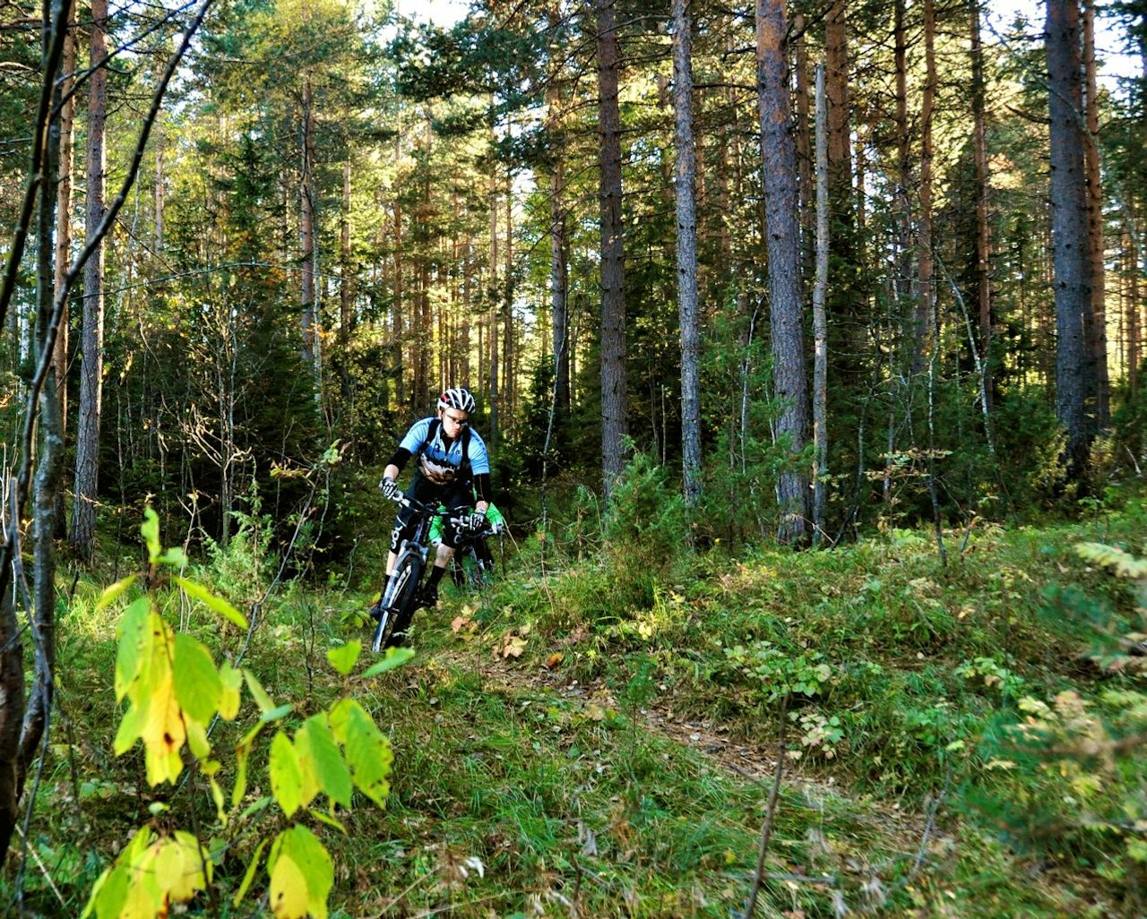 KJENTMANN: Tommy Soleim er lommekjent på stiene på Eiker. KJENTMANN: Tommy Soleim er lommekjent på stiene på Eiker.