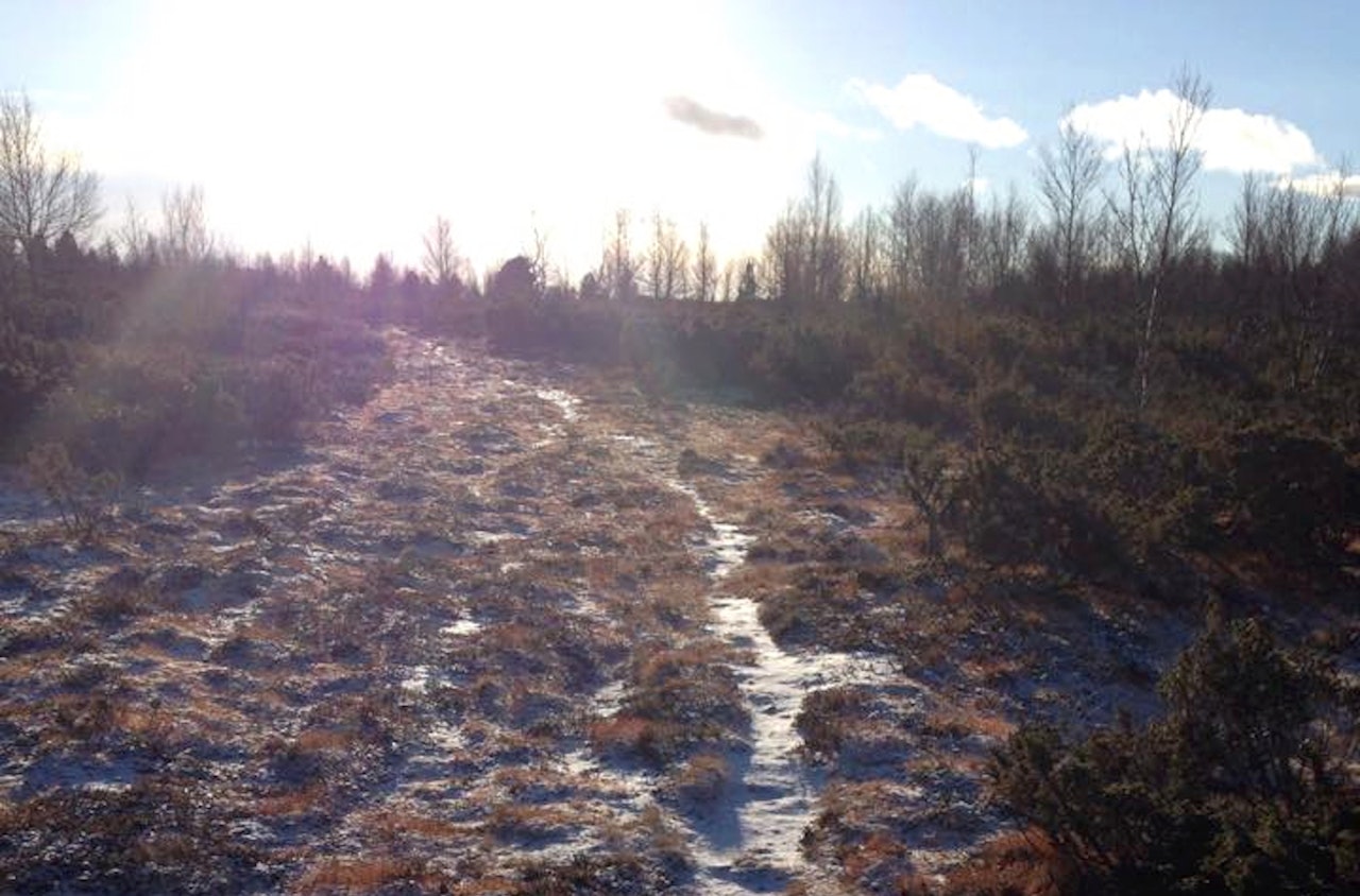 BARFROST: Med blek novembersol og spækt grunn kan sykkelturene senhøstes bli magiske. Foto: Knut Erik Nesteby BARFROST: Med blek novembersol og spækt grunn kan sykkelturene senhøstes bli magiske. Foto: Knut Erik Nesteby