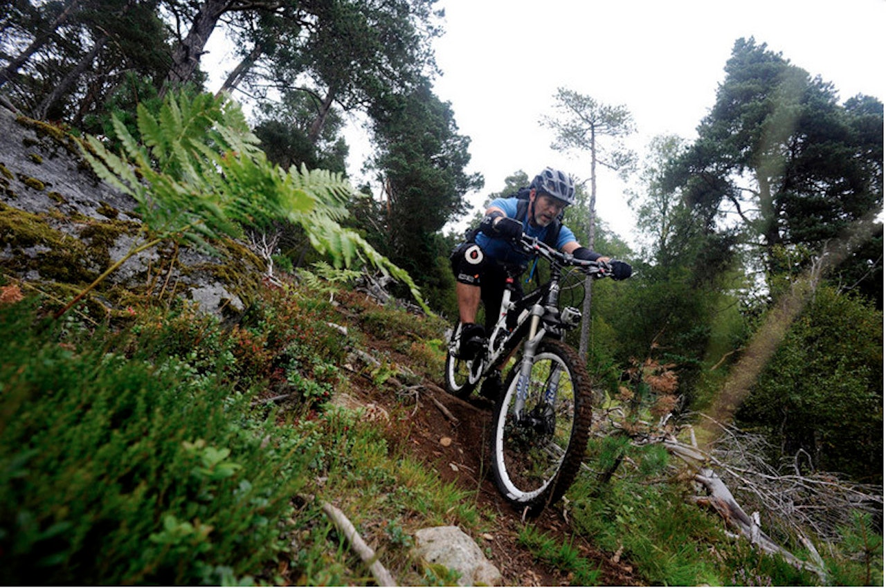 KREMSTI: Perfekte singletrack i store mengder på Fjørå! Foto: Christian Nørstebø KREMSTI: Perfekte singletrack i store mengder på Fjørå! Foto: Christian Nørstebø