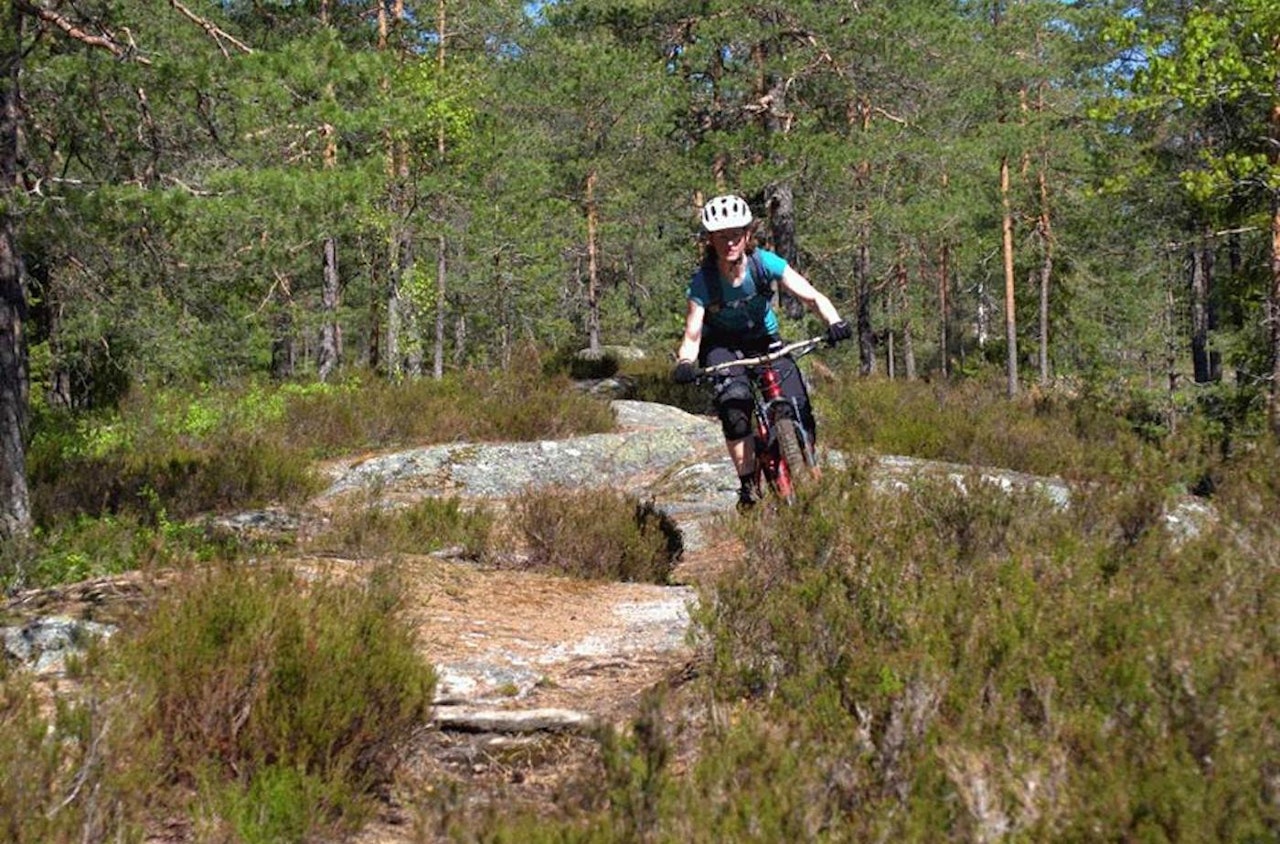 NOTS jobber for norske terrengsyklisters interesser, og har blant annet avverget at blåmerkede stier stenges for syklister. Foto: NOTS NOTS jobber for norske terrengsyklisters interesser, og har blant annet avverget at blåmerkede stier stenges for syklister. Foto: NOTS