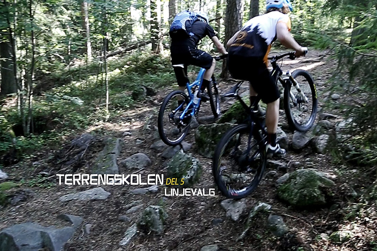 LØFT BLIKKET: Se etter linjer i terrenget som lar sykkelen rulle med så lite hopp og sprett som mulig. Noen ganger kan det også være best å velge den bratteste løsningen. linjevalg terrengsykkel