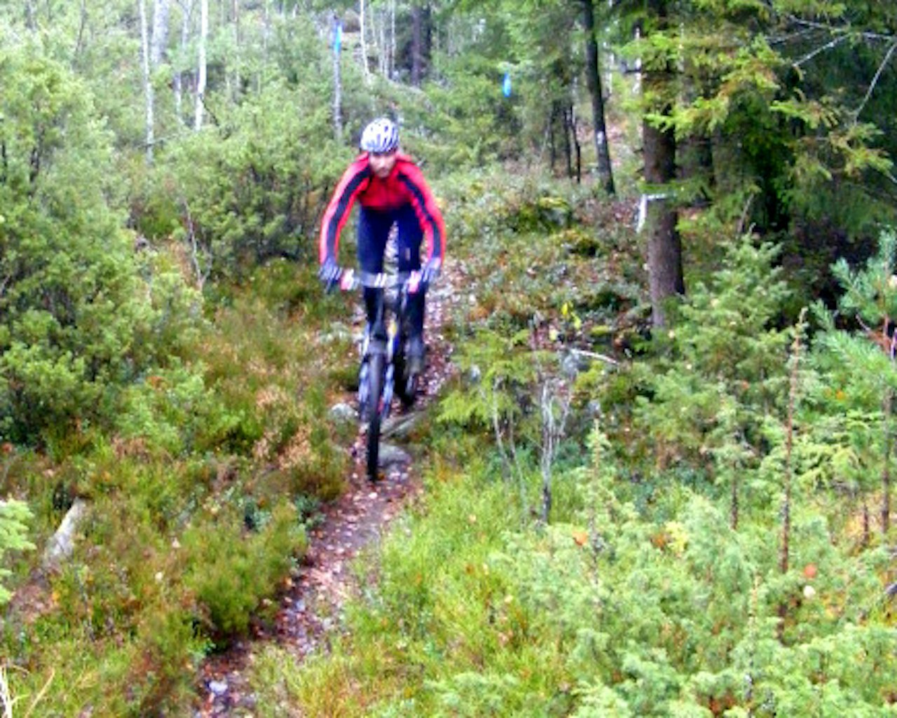 Alle foto: Tange Alle foto: Tange