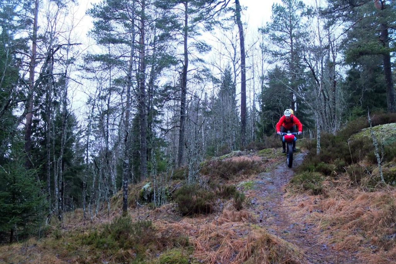 Sverre Muldsvor er ikke ukjent med langtur på sykkel. Og Christian Alshus, som har tatt bildet, er ikke ukjent med å beskrive de samme turene. Sverre Muldsvor er ikke ukjent med langtur på sykkel. Og Christian Alshus, som har tatt bildet, er ikke ukjent med å beskrive de samme turene.
