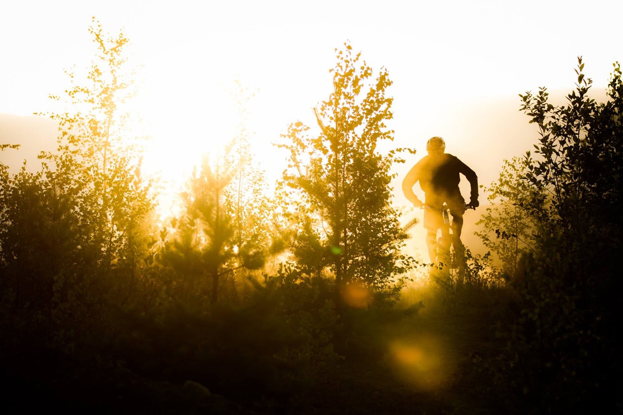 SELFIEKONGE: Kveldslyset er magisk på fine høstkvelder, Svenn drar på foran kameraet. Foto: Are Tallaksrud SELFIEKONGE: Kveldslyset er magisk på fine høstkvelder, Svenn drar på foran kameraet. Foto: Are Tallaksrud