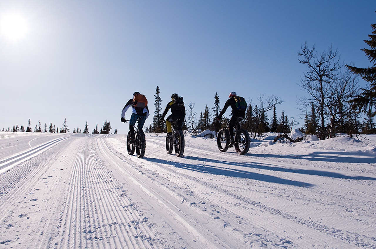 Vi har blant annet syklet Birkebeinerrennets løype i neste utgave av Terrengsykkel. Foto: Henrik Alpers Vi har blant annet syklet Birkebeinerrennets løype i neste utgave av Terrengsykkel. Foto: Henrik Alpers
