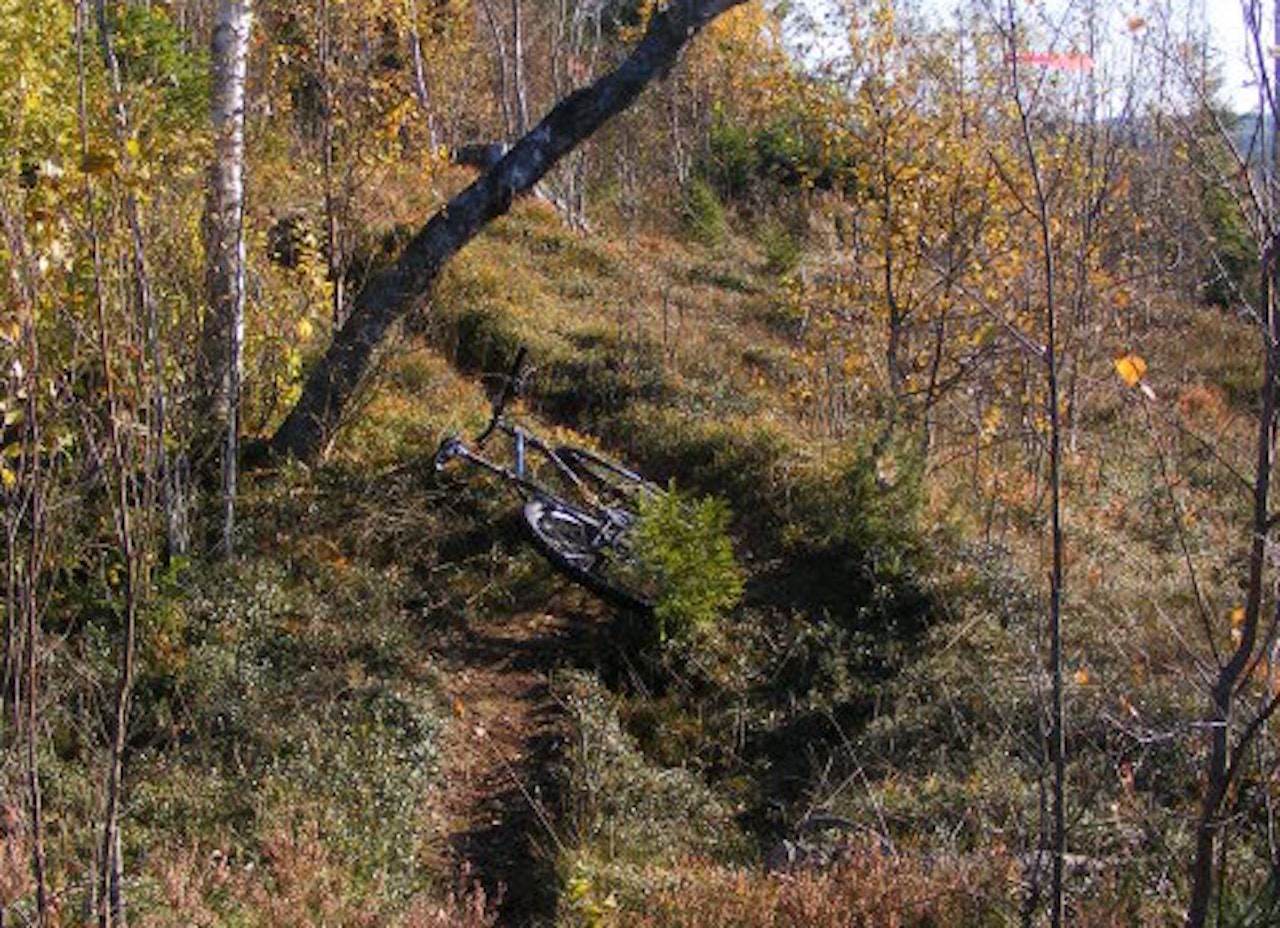 Foto: Tange Foto: Tange