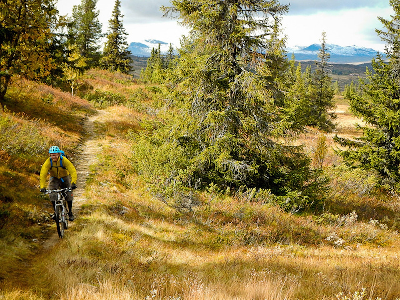KNUT PÅ TUR, ALDRI SUR: Knut Myking har alltid smilet på lur inne i skjegget sitt, særlig når han sykler smalsti hjemme i Ål. Foto: Vegard Breie KNUT PÅ TUR, ALDRI SUR: Knut Myking har alltid smilet på lur inne i skjegget sitt, særlig når han sykler smalsti hjemme i Ål. Foto: Vegard Breie