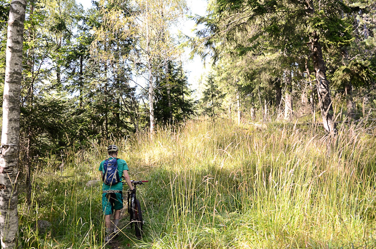 TRASKEN: Vi vil helst sykle, men av og til kan litt trasking være befriende hvile. TRASKEN: Vi vil helst sykle, men av og til kan litt trasking være befriende hvile.