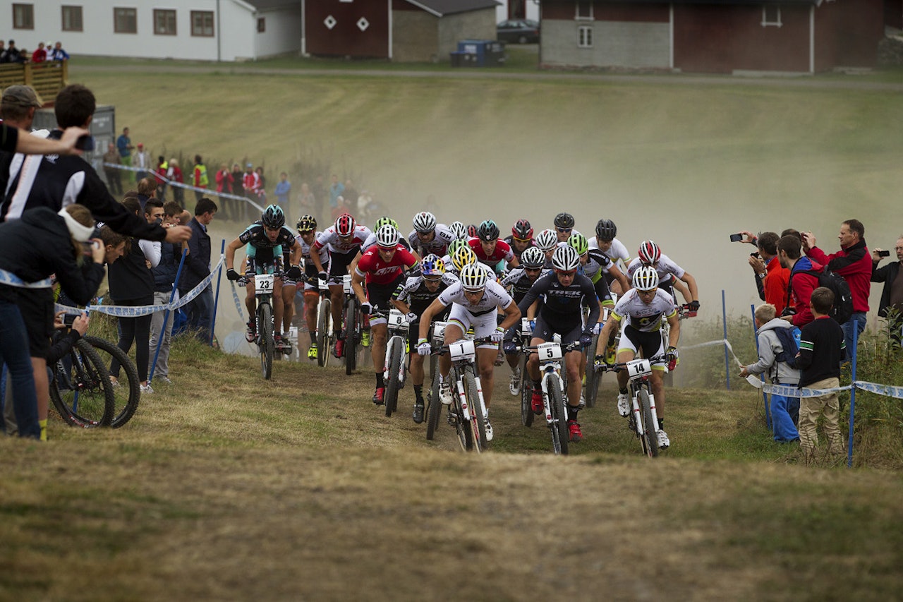 Ti ville hester? Neida, bare startfeltet i verdenscup rundbane. Ti ville hester? Neida, bare startfeltet i verdenscup rundbane.