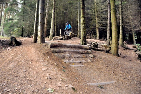 I FARTA:  Glentress byr på spennende utfordringer for sykkel og syklist. Her forbereder testpilot Øyvind seg på en dropp på en drøy meter. I FARTA:  Glentress byr på spennende utfordringer for sykkel og syklist. Her forbereder testpilot Øyvind seg på en dropp på en drøy meter.