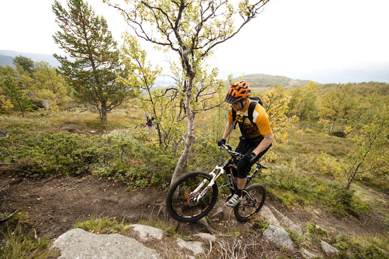 Foto: Martin Innerdal Dalen. Foto: Martin Innerdal Dalen.