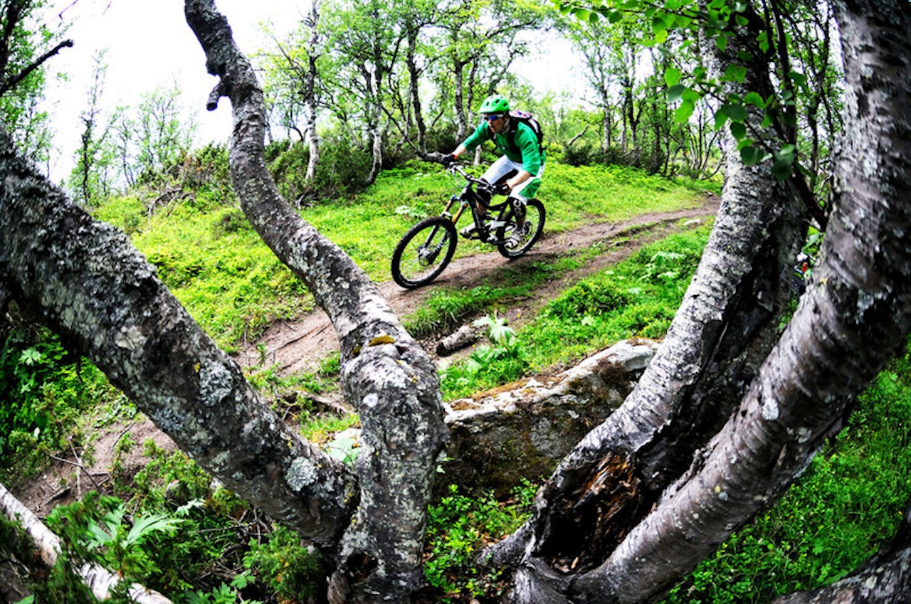 ENTUSIAST PÅ HJEMMEBANE: Bjarne Grøseth lever og ånder for stisykling. Her er han i aksjon på superstien på Svarthaugen hjemme i Oppdal. Foto: Trond Aalde ENTUSIAST PÅ HJEMMEBANE: Bjarne Grøseth lever og ånder for stisykling. Her er han i aksjon på superstien på Svarthaugen hjemme i Oppdal. Foto: Trond Aalde