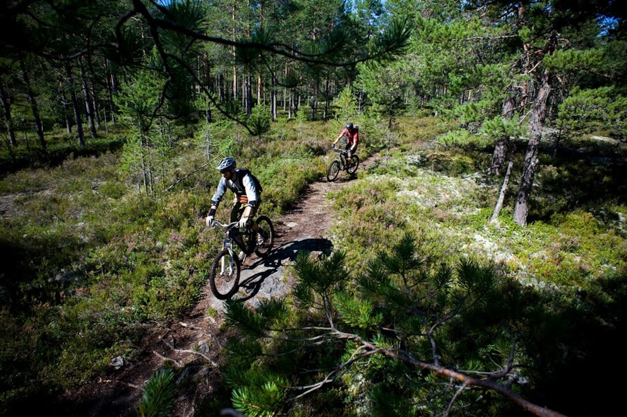 UTFLUKT: Påmeldingen til lek og moro på stier som dette er i gang. Vær tidlig ute for å sikre deg plass. UTFLUKT: Påmeldingen til lek og moro på stier som dette er i gang. Vær tidlig ute for å sikre deg plass.