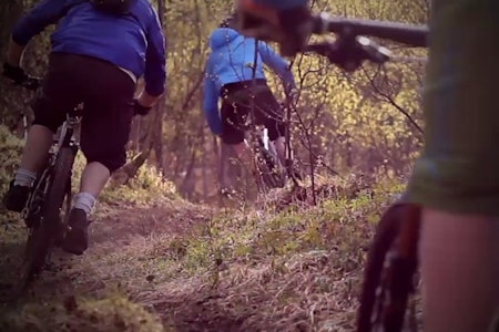 FLYYYT: Trivelig i Tromsø - sånn går no dagan. Foto: Jack Corby FLYYYT: Trivelig i Tromsø - sånn går no dagan. Foto: Jack Corby