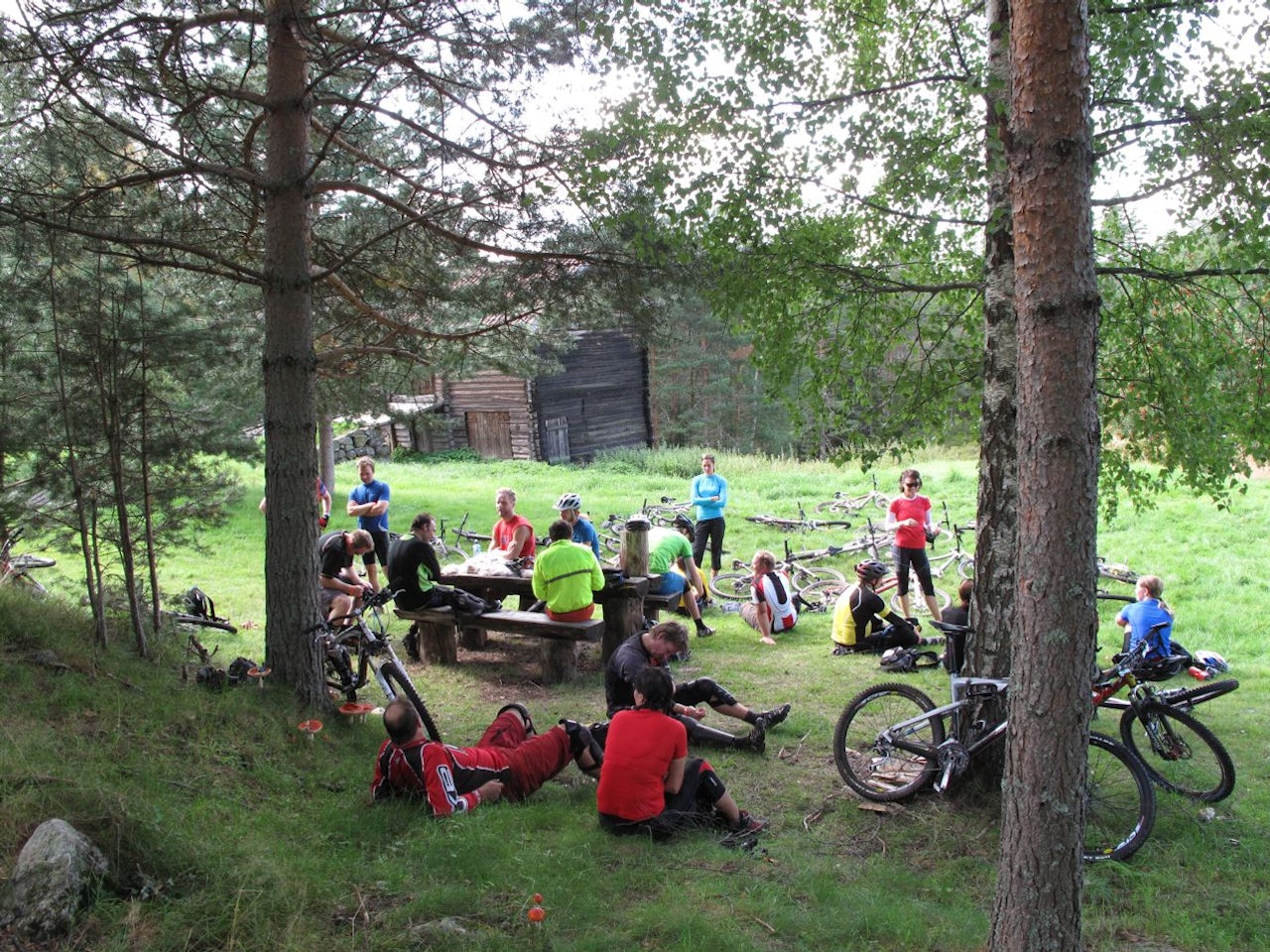 BOLLER: Bolle-lunsjen på Aspesetra var kjærkommen for mange. At vi gikk tomme for boller før siste gruppe kom var beklagelig. BOLLER: Bolle-lunsjen på Aspesetra var kjærkommen for mange. At vi gikk tomme for boller før siste gruppe kom var beklagelig.