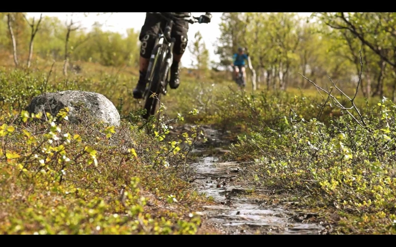 DEILIG: Alta i sommersol ser utrolig forlokkende ut. Foto: fra filmen