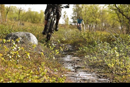 DEILIG: Alta i sommersol ser utrolig forlokkende ut. Foto: fra filmen DEILIG: Alta i sommersol ser utrolig forlokkende ut. Foto: fra filmen
