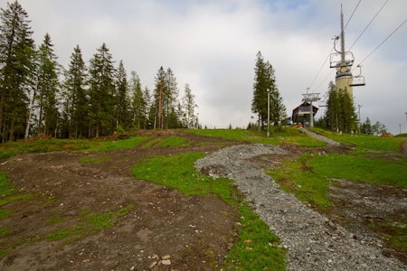 FORSMAK: Begynnern og Fri Flyt. I skogen går Eastside. FORSMAK: Begynnern og Fri Flyt. I skogen går Eastside.
