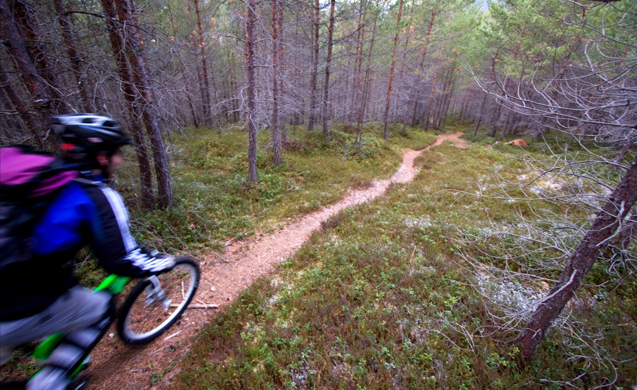 FINE LØYPER Sogndal Enduro kan bli et flott høydepunkt i årets enduro-sesong. FINE LØYPER Sogndal Enduro kan bli et flott høydepunkt i årets enduro-sesong.