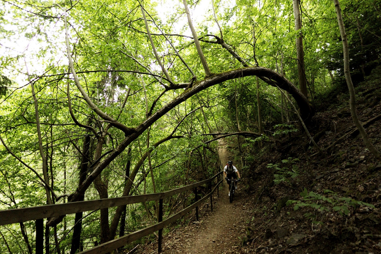 Gass,gass,gass!Stien snodde seg i høy fart både opp- og nedover langs elva. Gjerder og lave trær gjorde at man måtte være på vakt, hele tiden. Gass,gass,gass!Stien snodde seg i høy fart både opp- og nedover langs elva. Gjerder og lave trær gjorde at man måtte være på vakt, hele tiden.