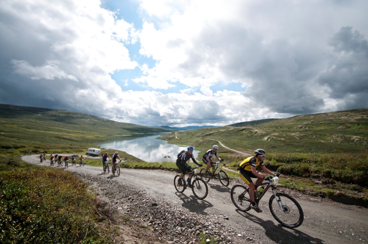 MIDT-NORGES STØRSTE: Med over 1800 deltakere er Sykkelenern det største sykkelrittet nord for Dovre. Alle foto: Sykkelenern. MIDT-NORGES STØRSTE: Med over 1800 deltakere er Sykkelenern det største sykkelrittet nord for Dovre. Alle foto: Sykkelenern.