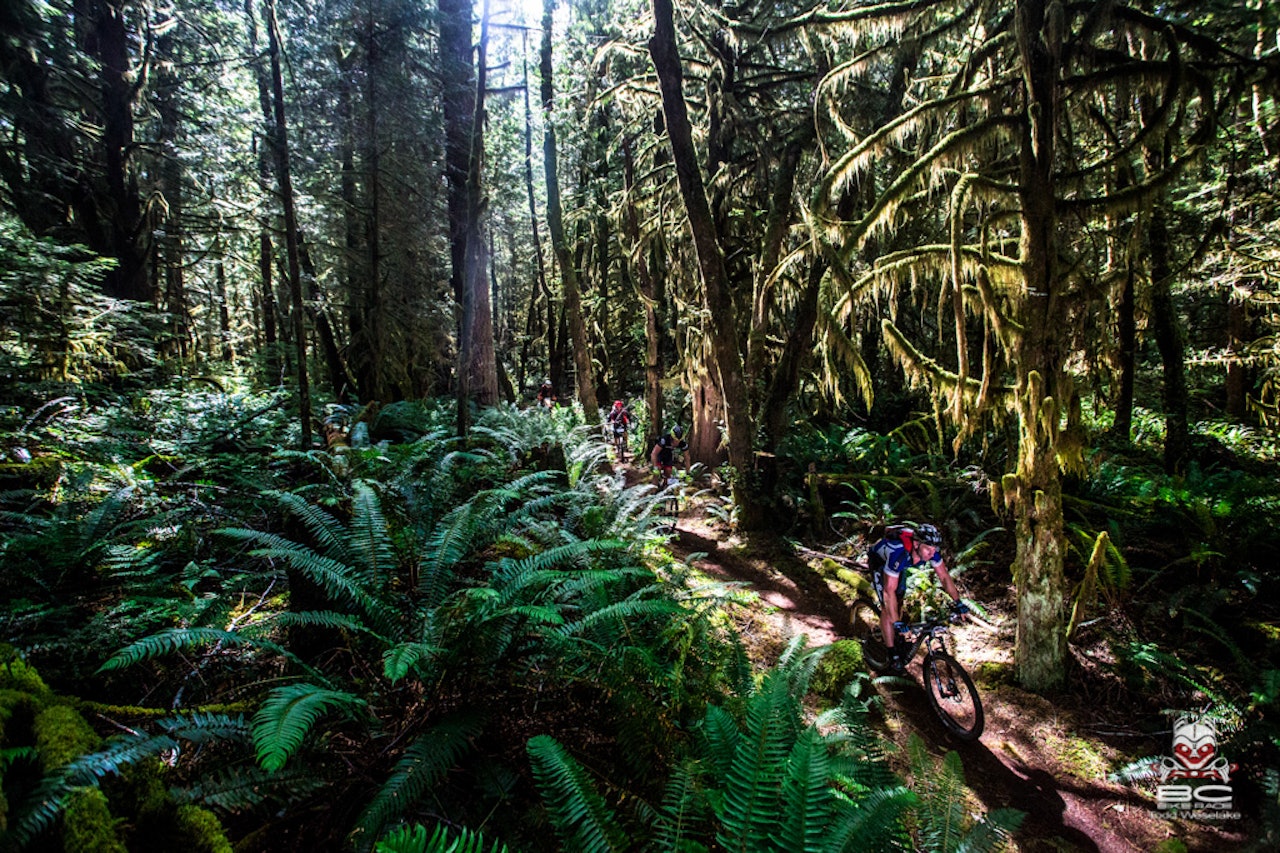 IKKE HELT SOM HJEMME: Gedigne trær, nydelige stier og noen hundre sykkelkompiser er noen av elementene rundt BCBR. Foto: Todd Weselake IKKE HELT SOM HJEMME: Gedigne trær, nydelige stier og noen hundre sykkelkompiser er noen av elementene rundt BCBR. Foto: Todd Weselake