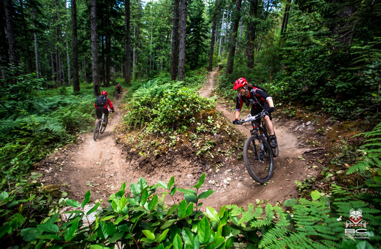 HÅNDVERK: Har du husket å engasjere deg i stibygging i sommer? Ta inspirasjon fra Kanada. Og finn en trivelig grunneier med fin skog. Foto: Todd Weselake HÅNDVERK: Har du husket å engasjere deg i stibygging i sommer? Ta inspirasjon fra Kanada. Og finn en trivelig grunneier med fin skog. Foto: Todd Weselake