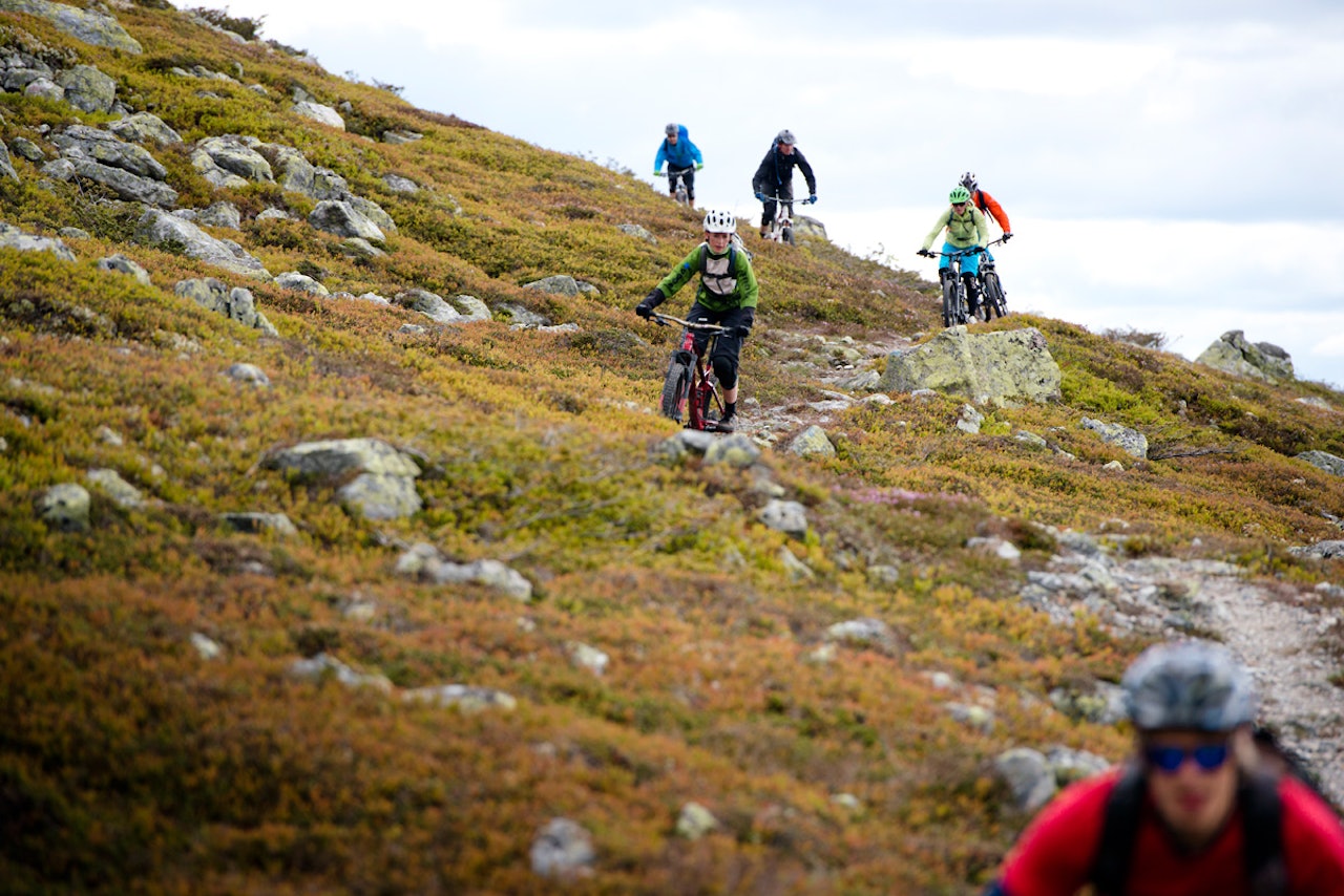 SOSIALT: Friske stitog er et Utflukt-kjennetegn. Så også i fjellet i Trysil. SOSIALT: Friske stitog er et Utflukt-kjennetegn. Så også i fjellet i Trysil.